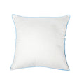 Carter Cushion